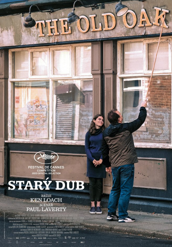 Starý dub (05/2024)